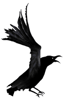 static raven