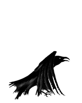dancing raven