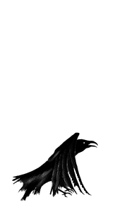 jumping raven