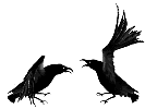 small dancing ravens