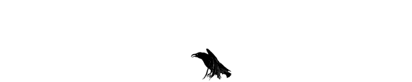 flying landing raven