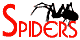 Spiders!